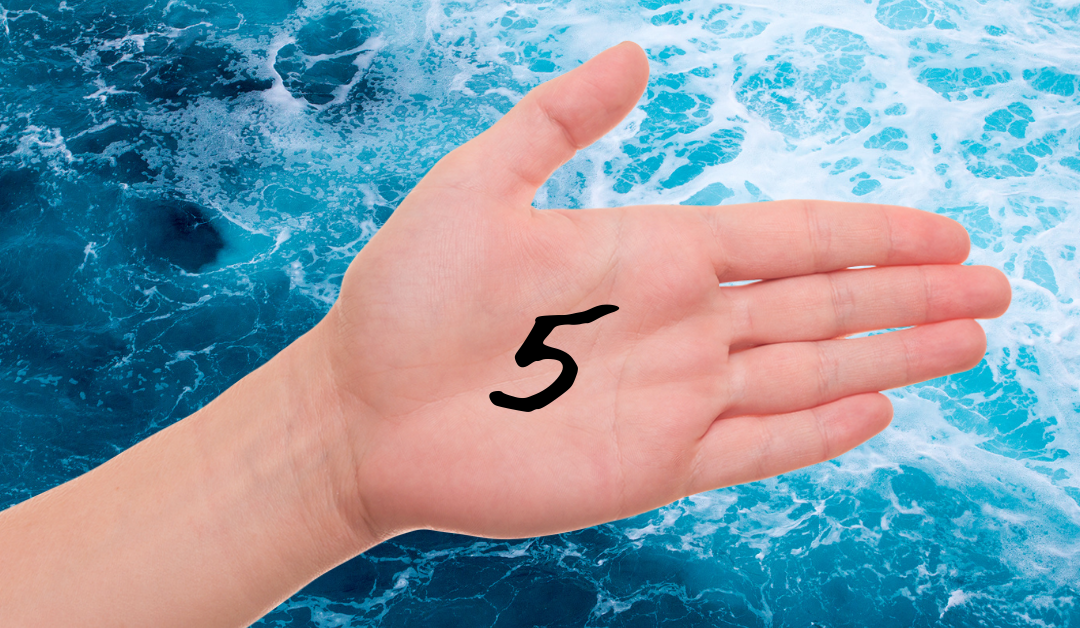 hand with palm open and number 5 written in marker