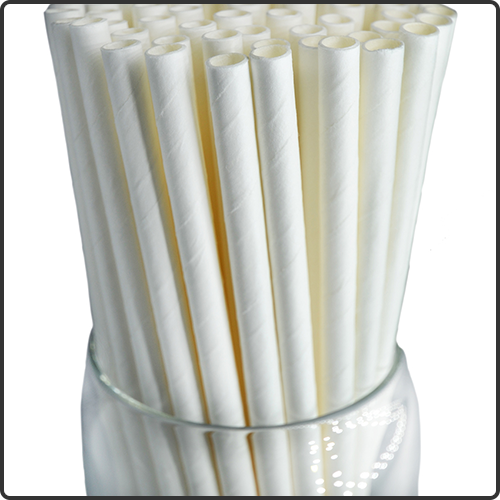 Cocktail Straws - Bulk / 500 count - Roc Paper Straws