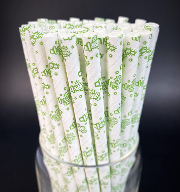 Cactus Straws - Image 2