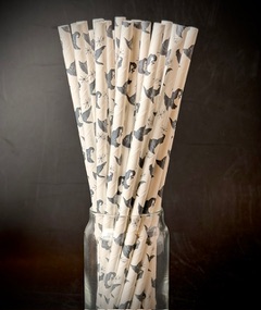 Witch Hat Paper Straws